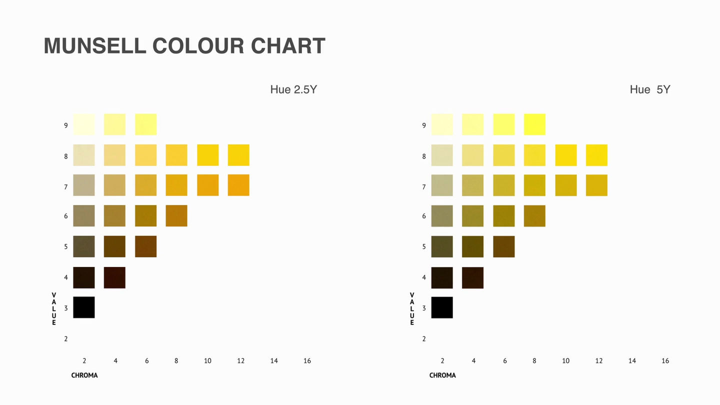 Munsell Colour Space (2020)